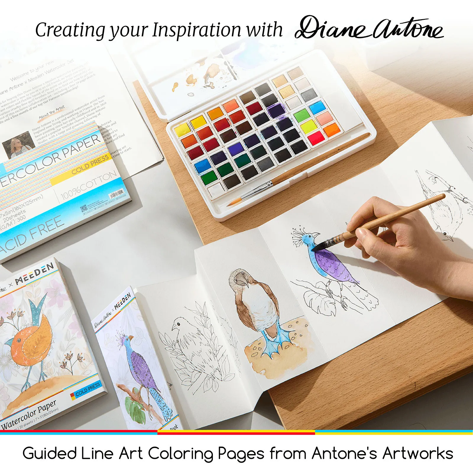MEEDEN x Diane Antone Limited Edition Watercolor Paint Set - Image 5